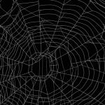 image of spider web. This image is being used to reprsent how spider veins can look similar to an actual spider web.