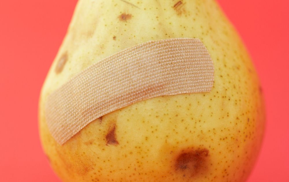 bruised fruit with band aid signifying leg wounds or ulcers