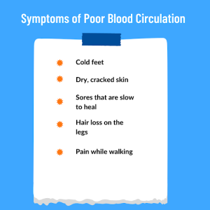 Symptoms of Poor Blood Circulation