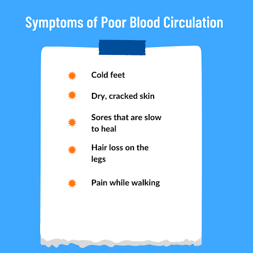 What Causes Poor Blood Circulation In Legs? | USA Vein Clinics