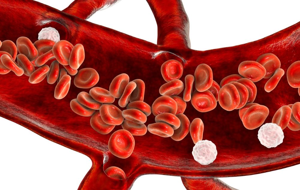 blood flow traveling through veins in body