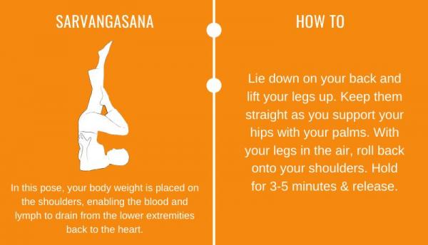 Sarvangasana yoga for veins