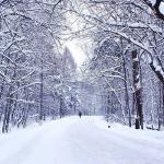 snowy street