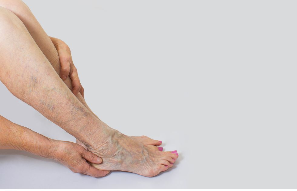 veins veins