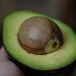 Avocado cut in half with seed