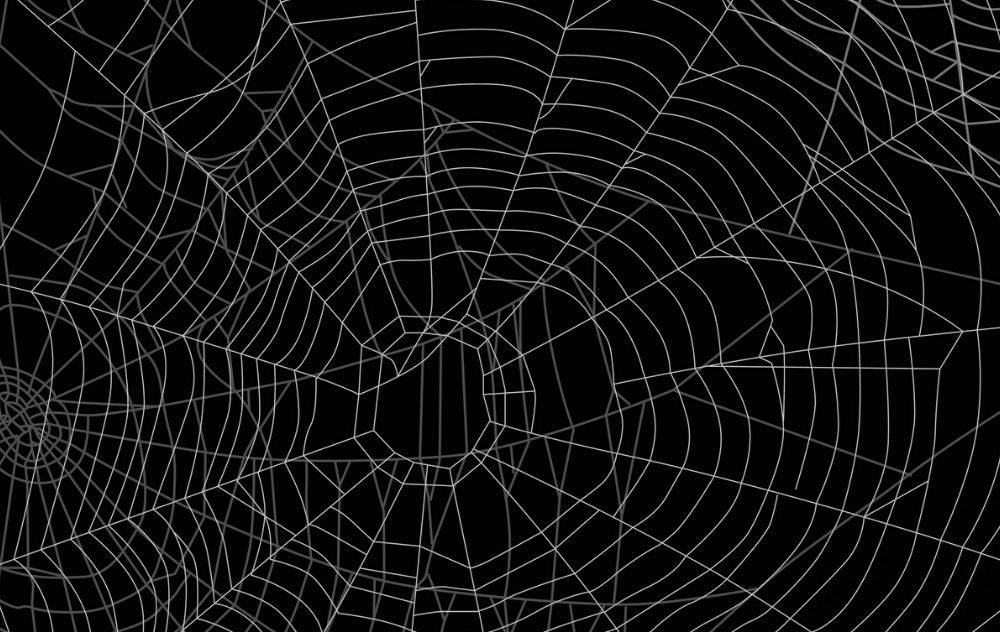 image of spider web. This image is being used to reprsent how spider veins can look similar to an actual spider web.
