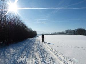 man walking in the snow on a sunny day