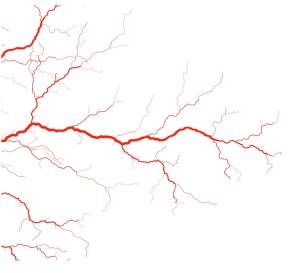 Function of blood vessels