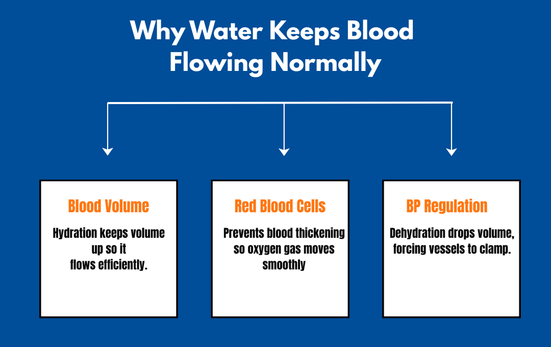 Can Drinking Water Help Varicose Veins? 5 How water aids in smoother blood circulation in the legs.