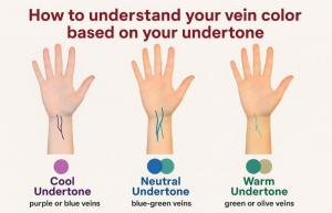 How to understand your vein color based on your undertone